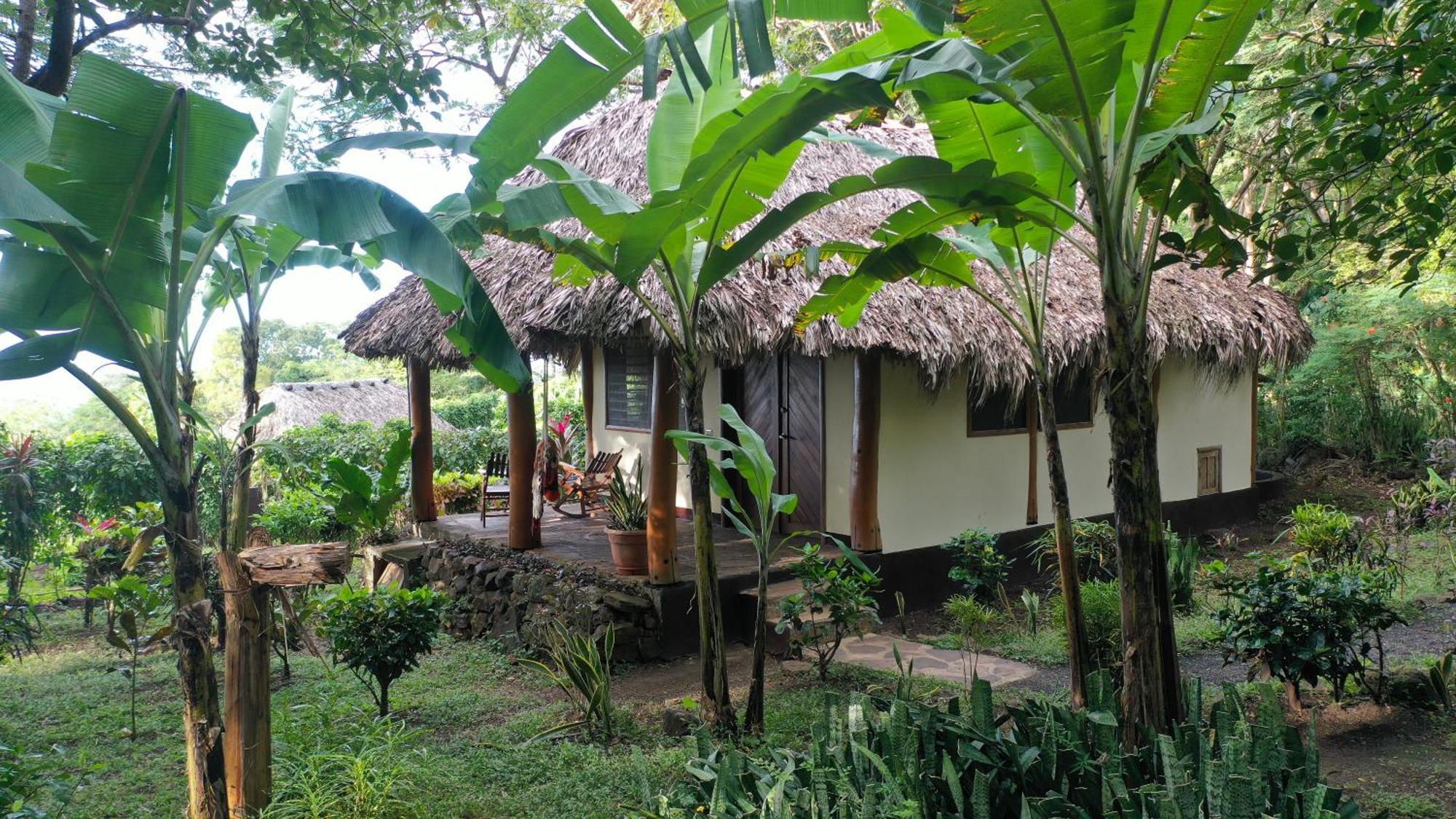 Balgue Totoco Eco Resort מראה חיצוני תמונה